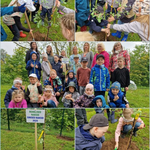 502376230_1208668531047365_5649963665746509954_n