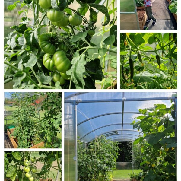 525254357_1257595132821371_8754483008464891571_n