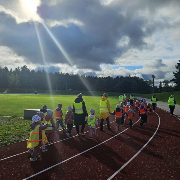 556782873_1306625441251673_607101387698870028_n