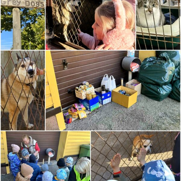 558515790_1315577497023134_7123723308743250473_n