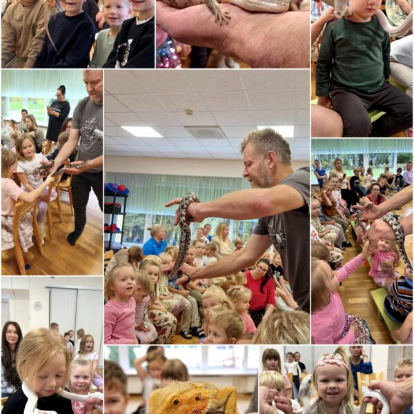 561252766_1320334296547454_8240910061884061455_n